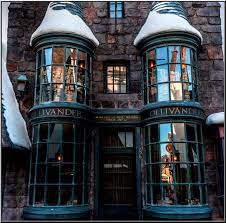 Chief Executive Officer